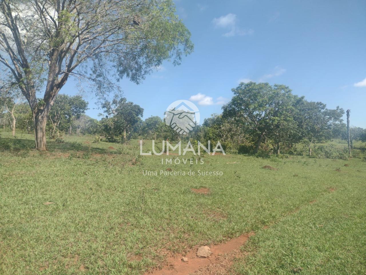 Área/ Sessenta e três hectares