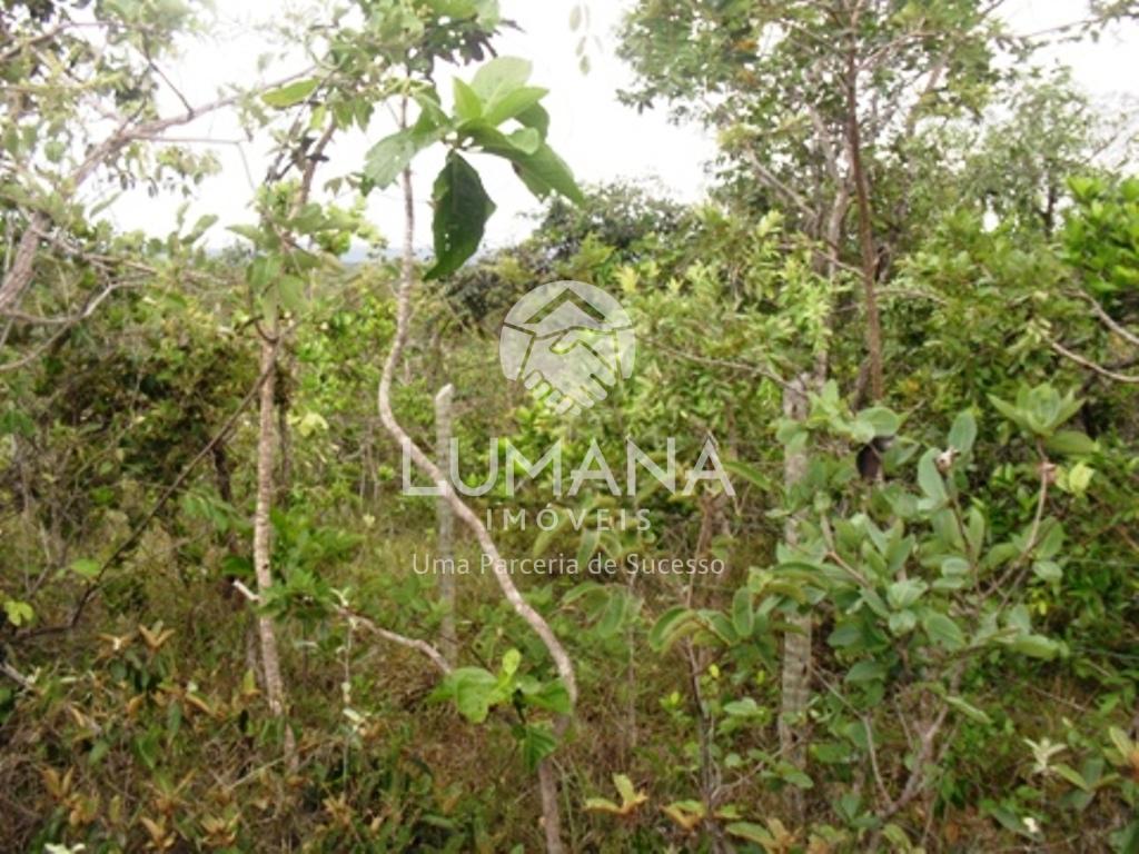 ÁREA -  VILA ALMEIDA — foto 8 — Vila Almeida, Jaboticatubas, MG