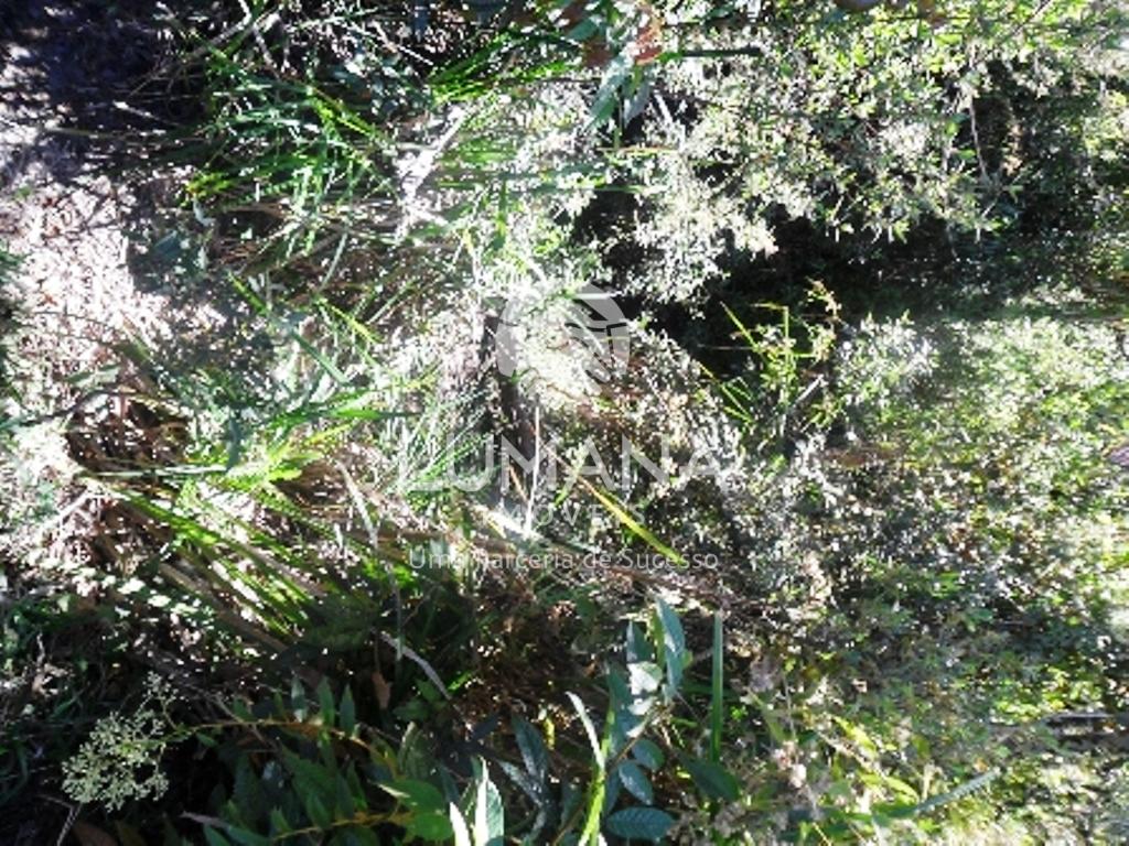 ÁREA NA SERRA DO CIPÓ