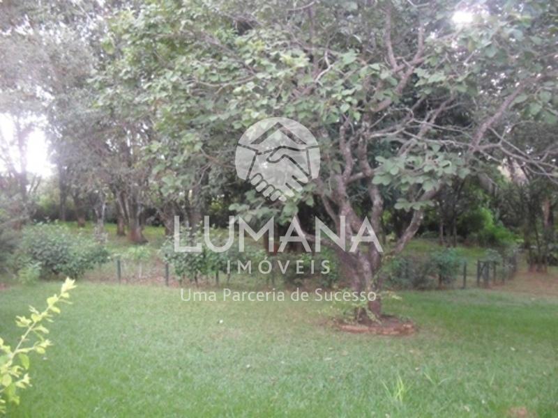 ÁREA  COM CASA NA VÁRZEA — foto 4 — Francisco Pereira, Lagoa Santa, MG