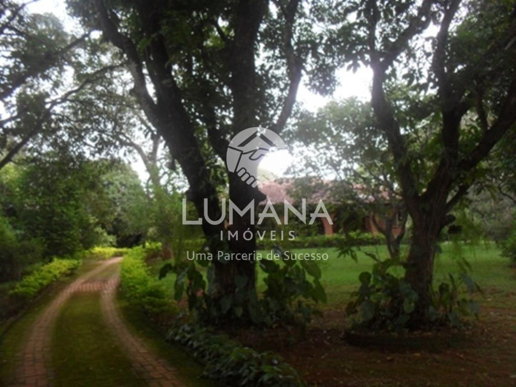 ÁREA  COM CASA NA VÁRZEA — foto 42 — Francisco Pereira, Lagoa Santa, MG
