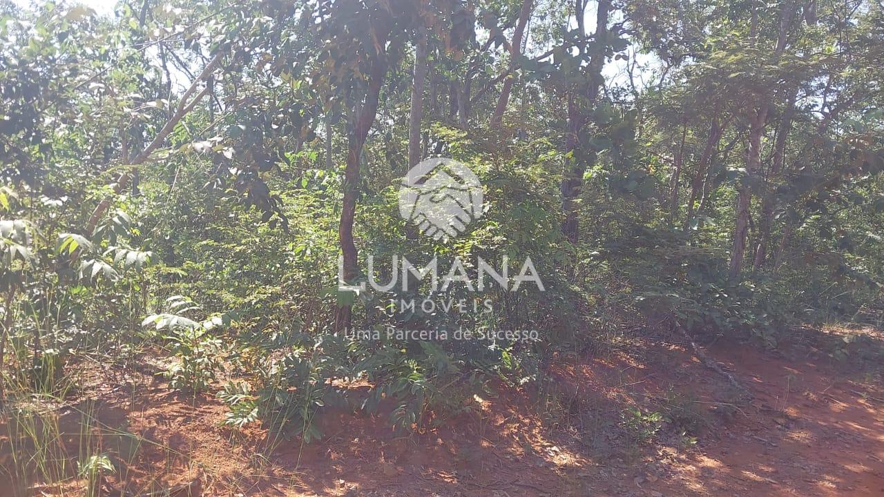 Lote em condomínio — foto 2 — Lago Dos Cisnes, Felixlândia, MG