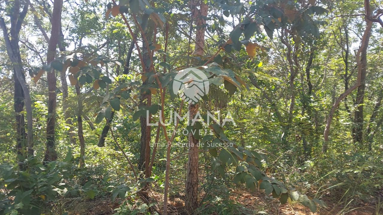 Lote em condomínio — foto 3 — Lago Dos Cisnes, Felixlândia, MG