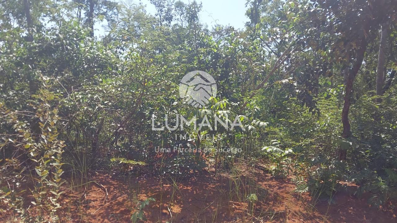 Lote em condomínio — foto 4 — Lago Dos Cisnes, Felixlândia, MG