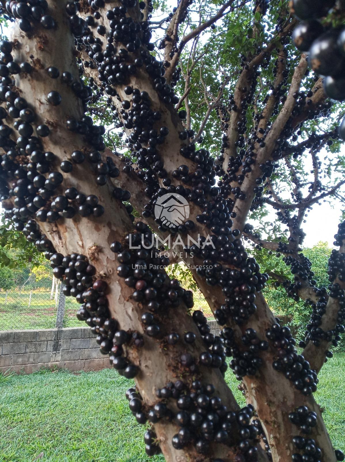 Chácara  porteira Fechada — foto 35 — Quinta Do Sumidouro (fidalgo), Pedro Leopoldo, MG