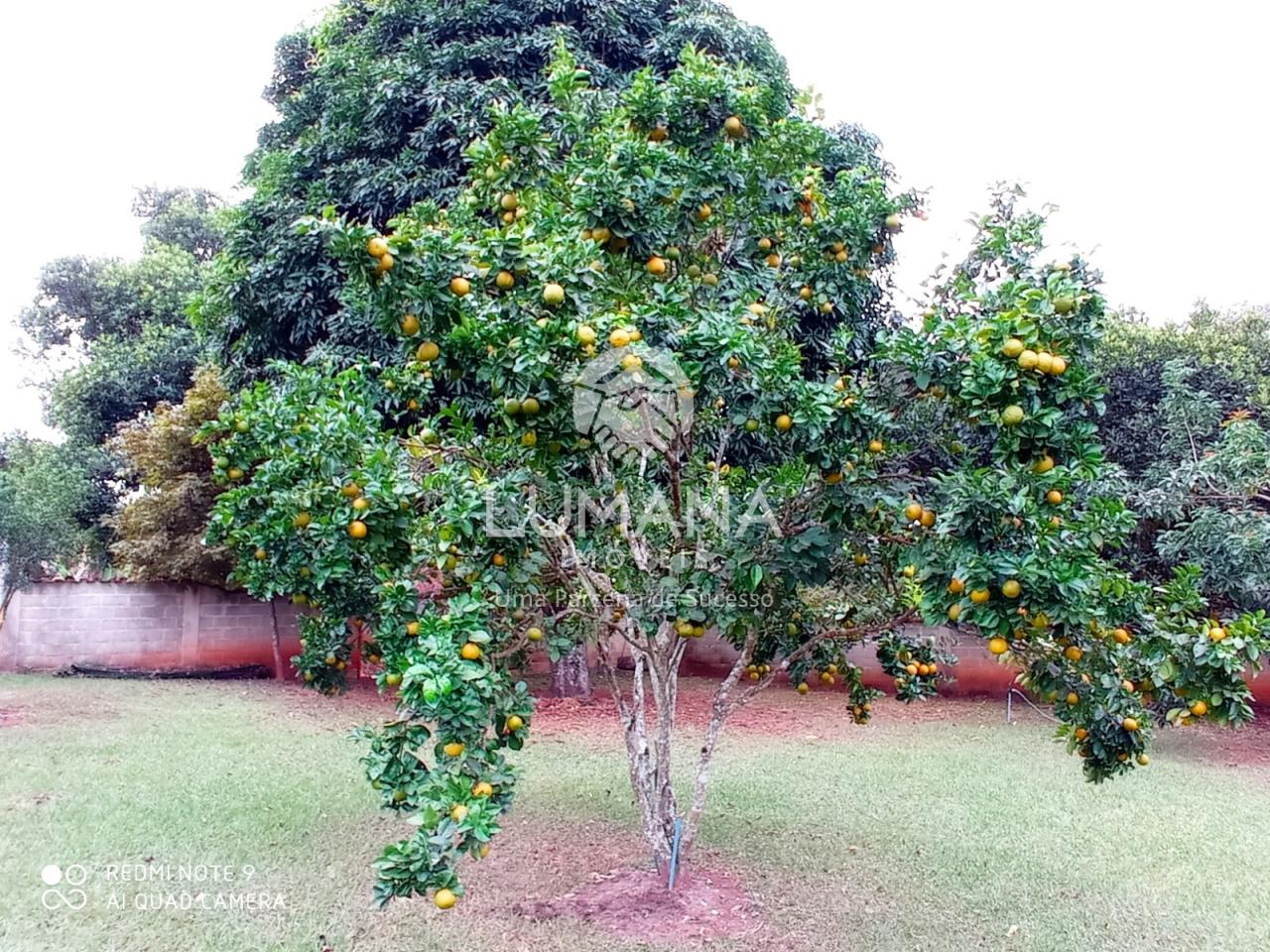 Chácara  porteira Fechada — foto 36 — Quinta Do Sumidouro (fidalgo), Pedro Leopoldo, MG