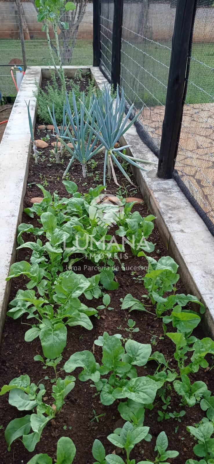 Chácara  porteira Fechada — foto 28 — Quinta Do Sumidouro (fidalgo), Pedro Leopoldo, MG