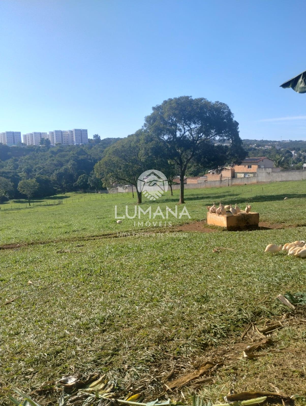 ÁREA URBANA  -  63 ha — foto 19 — Palmital , Lagoa Santa, MG