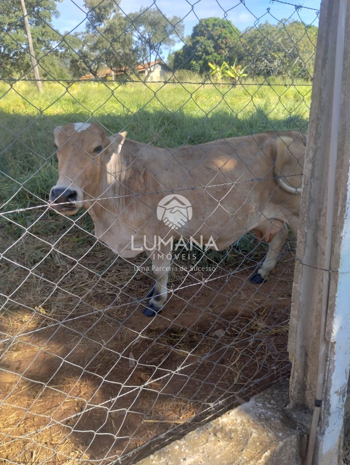 ÁREA URBANA  -  63 ha — foto 46 — Palmital , Lagoa Santa, MG