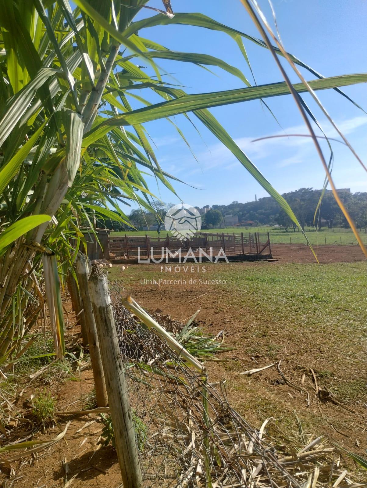 ÁREA URBANA  -  63 ha — foto 26 — Palmital , Lagoa Santa, MG