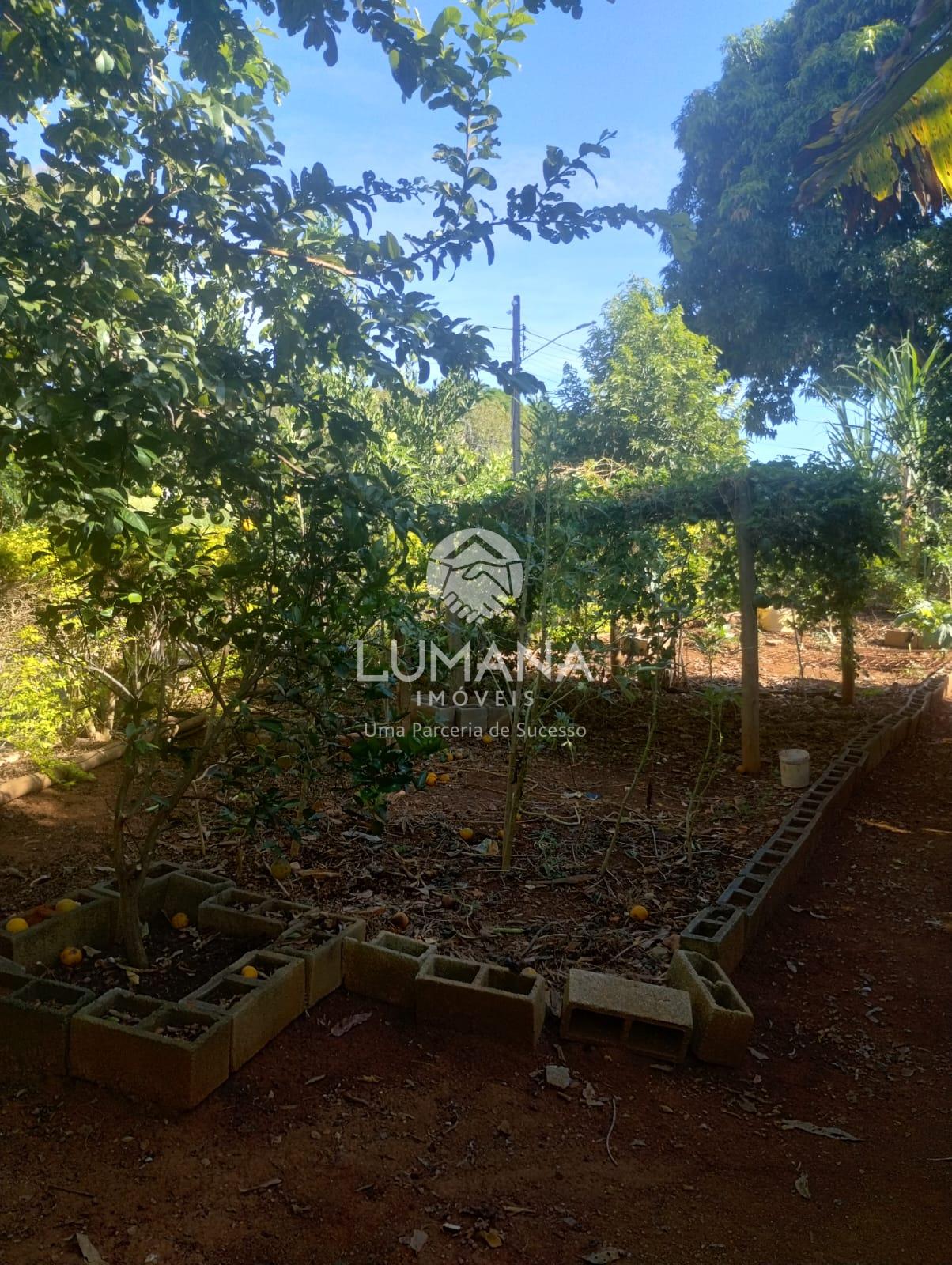 ÁREA URBANA  -  63 ha — foto 27 — Palmital , Lagoa Santa, MG