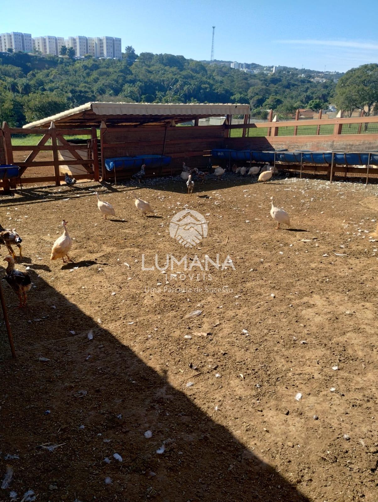 ÁREA URBANA  -  63 ha — foto 41 — Palmital , Lagoa Santa, MG