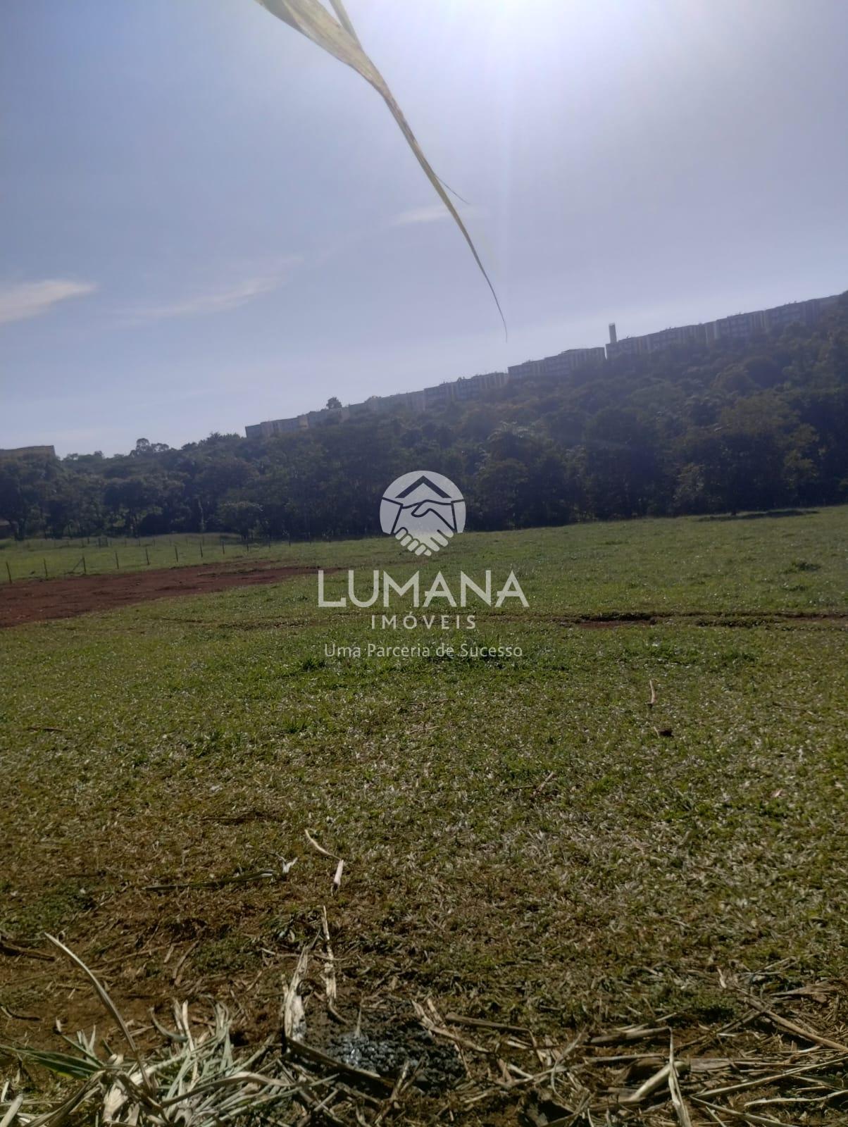ÁREA URBANA  -  63 ha — foto 30 — Palmital , Lagoa Santa, MG