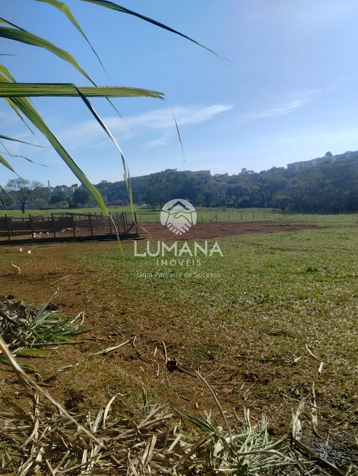 ÁREA URBANA  -  63 ha — foto 31 — Palmital , Lagoa Santa, MG
