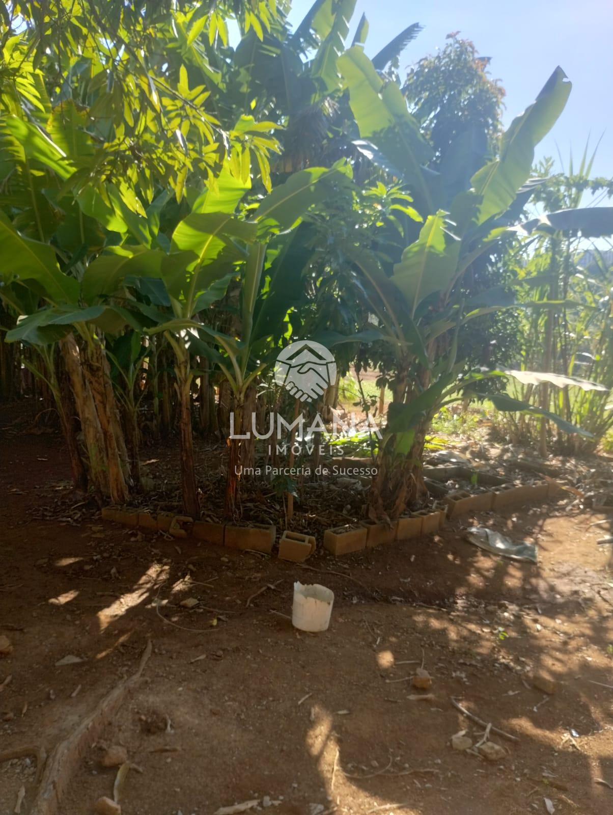 ÁREA URBANA  -  63 ha — foto 28 — Palmital , Lagoa Santa, MG