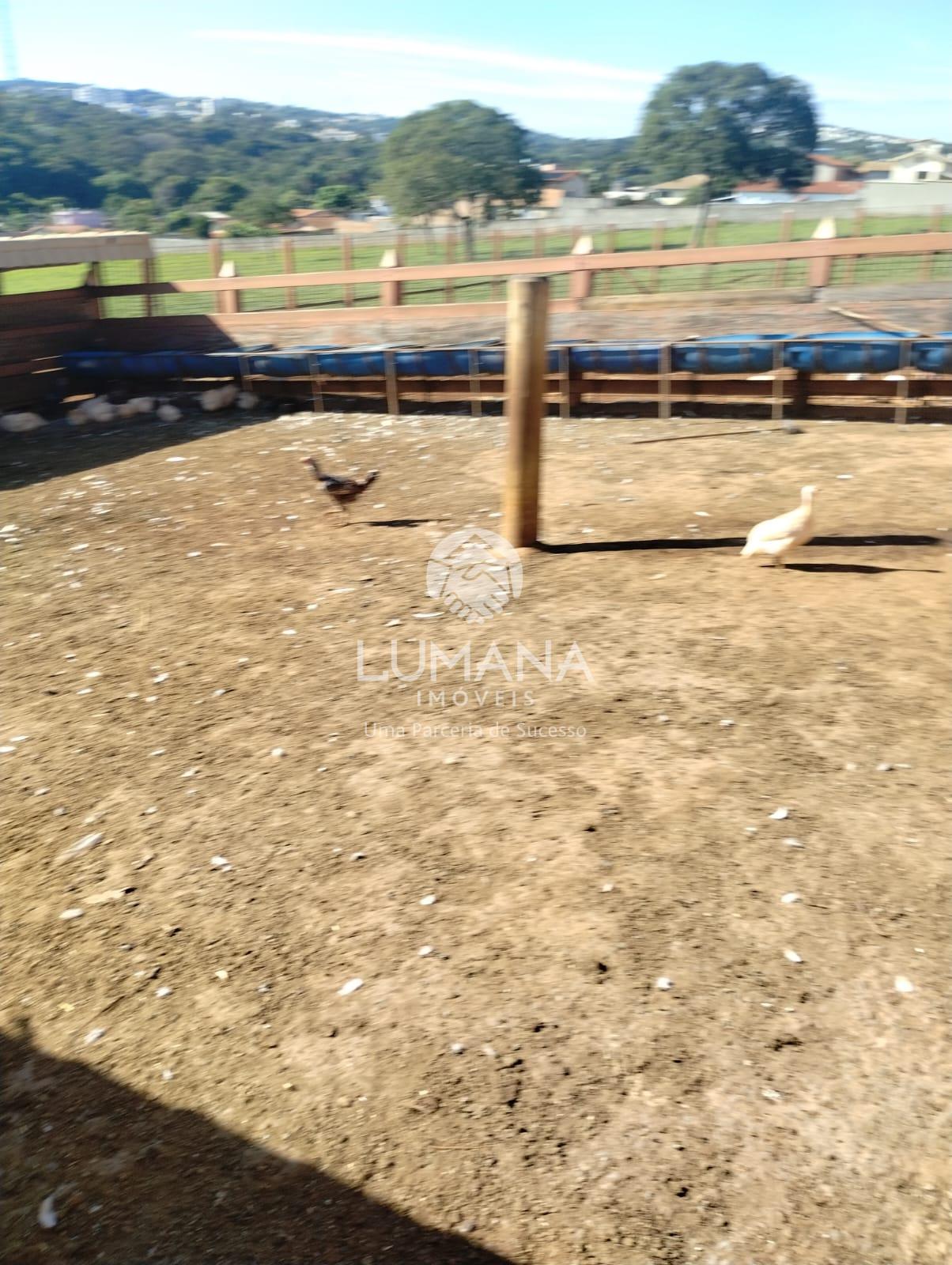 ÁREA URBANA  -  63 ha — foto 42 — Palmital , Lagoa Santa, MG