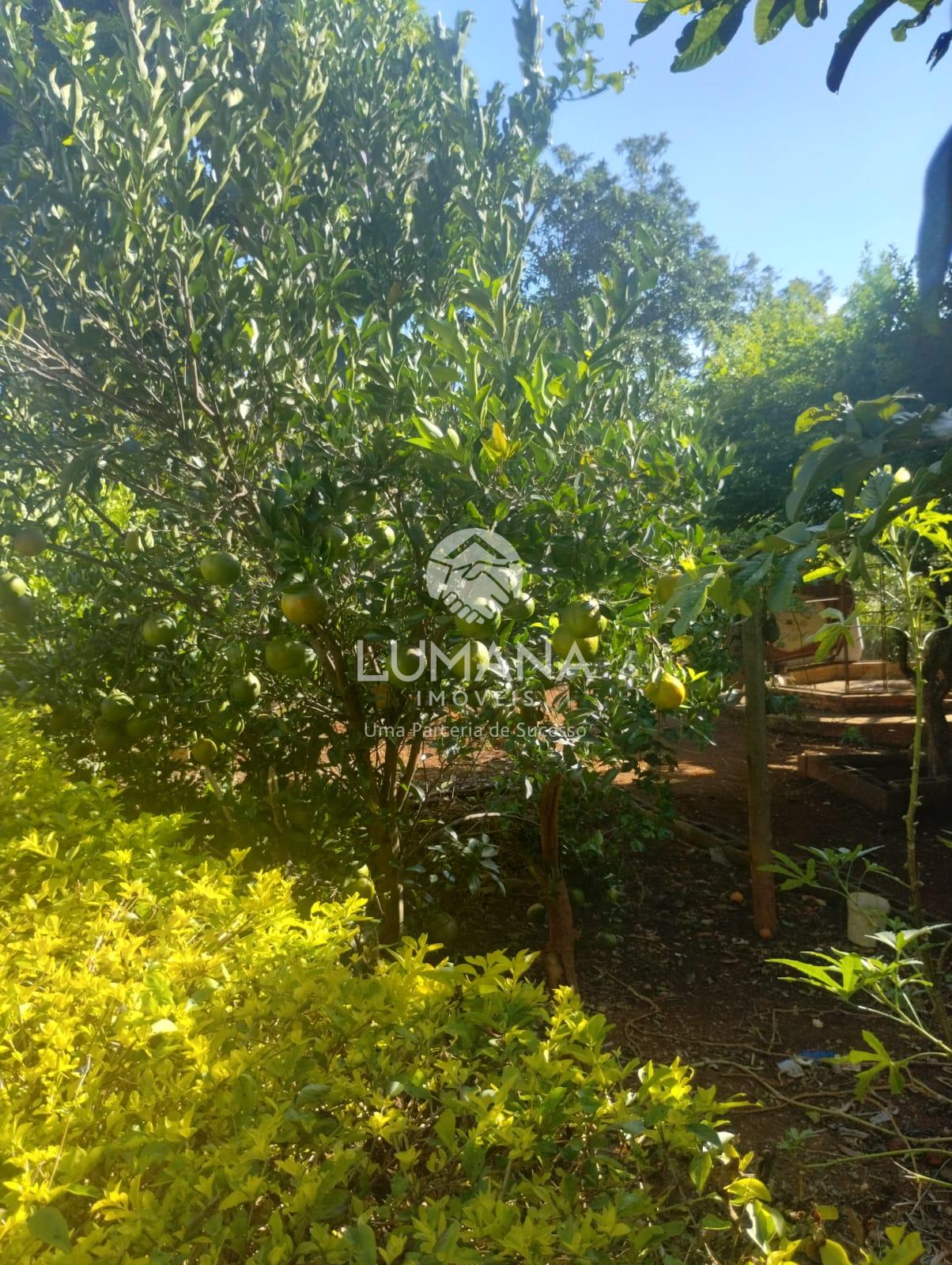 ÁREA URBANA  -  63 ha — foto 29 — Palmital , Lagoa Santa, MG