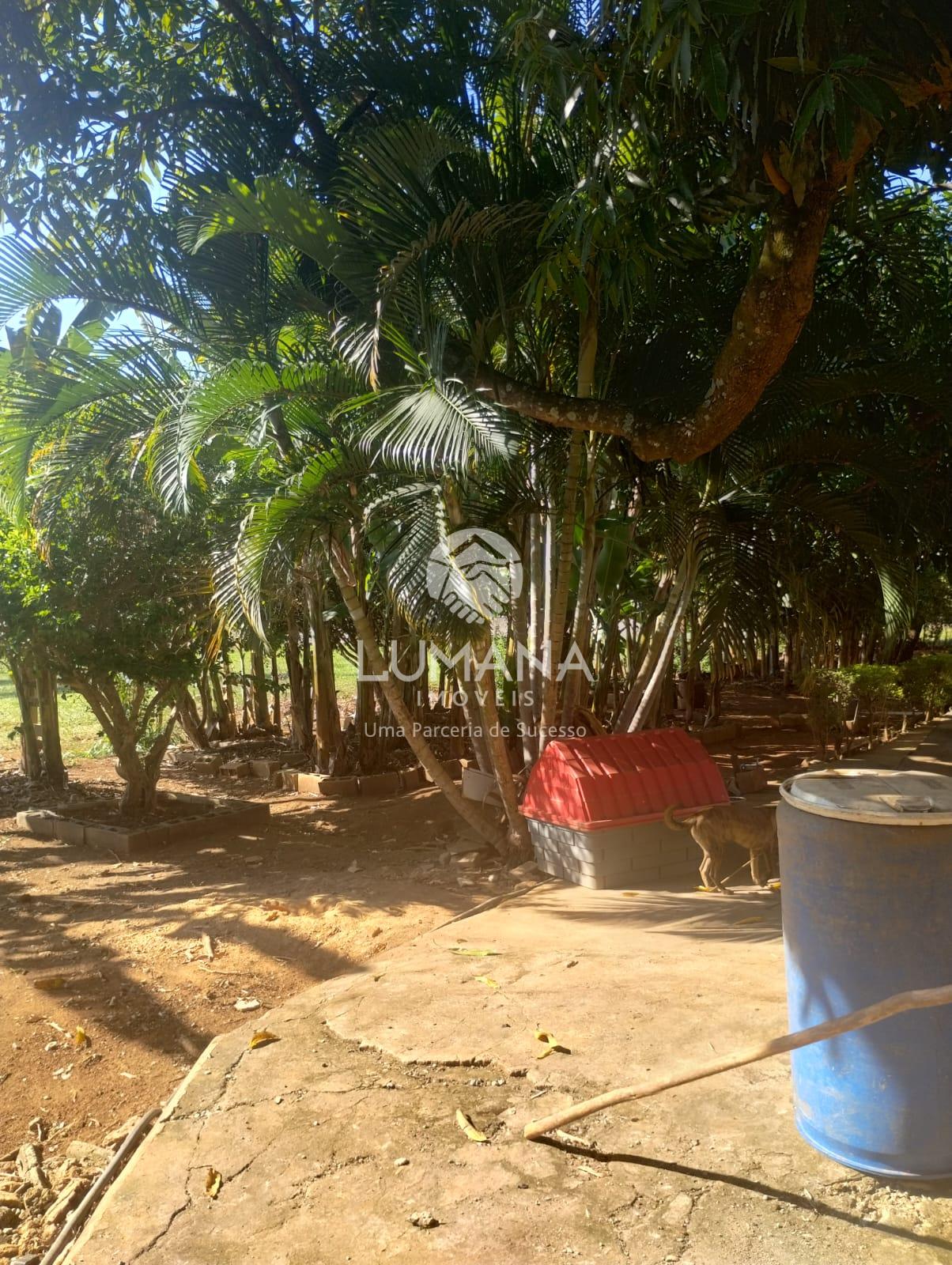 ÁREA URBANA  -  63 ha — foto 25 — Palmital , Lagoa Santa, MG