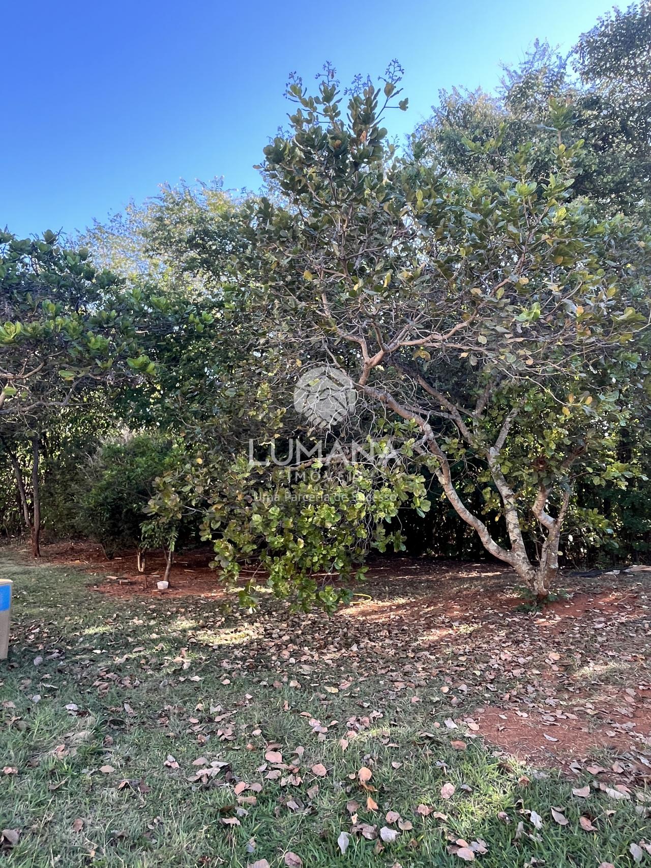 CASA ESTILO SÍTIO — foto 60 — Vale Dos Sonhos, Lagoa Santa, MG