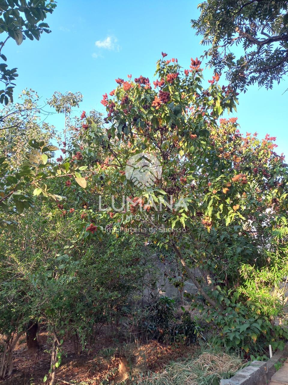 Chácara com casa — foto 34 — Almeida, Jaboticatubas, MG