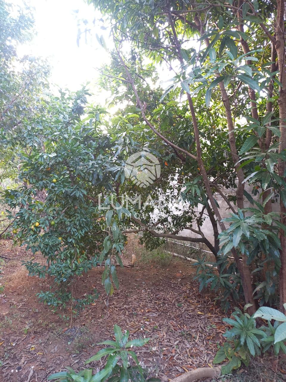 Chácara com casa — foto 36 — Almeida, Jaboticatubas, MG