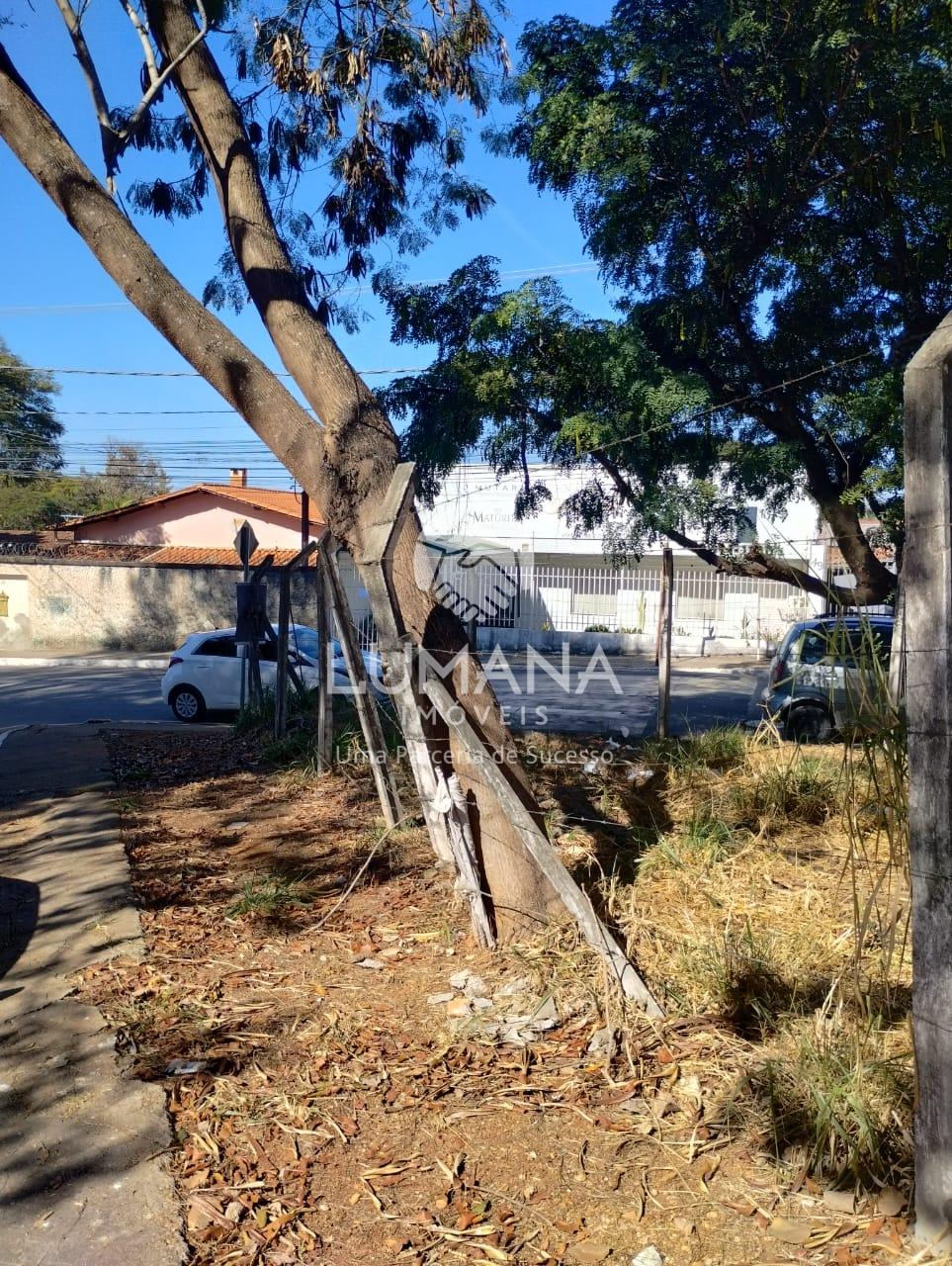 Lote Comercial - Área central