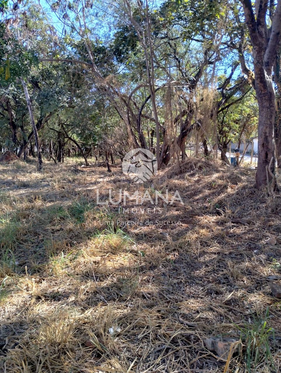 Lote Comercial - Área central — foto 14 — Bela Vista, Lagoa Santa, MG