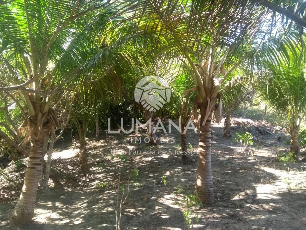 Chácara /Litoral de  Prado-BA — foto 21 — Praia Da Paixão, Prado, BA