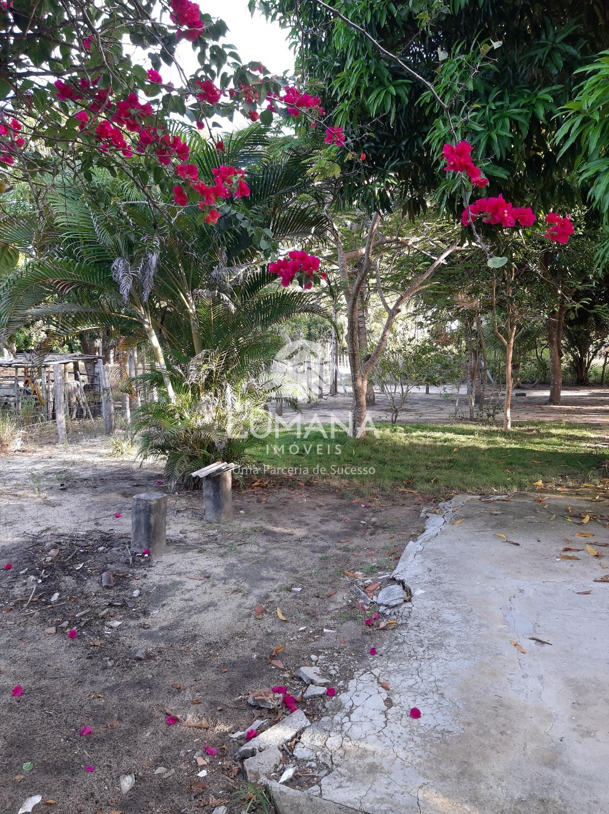 Chácara /Litoral de  Prado-BA — foto 38 — Praia Da Paixão, Prado, BA