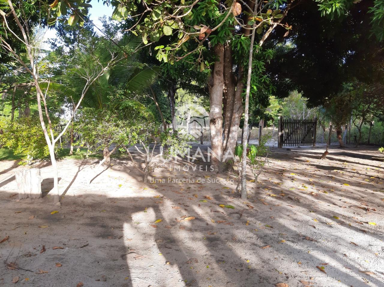 Chácara /Litoral de  Prado-BA — foto 40 — Praia Da Paixão, Prado, BA