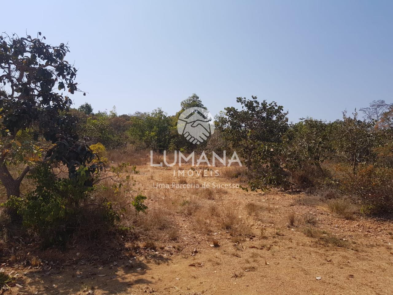 Fazendinha 20.000 m²