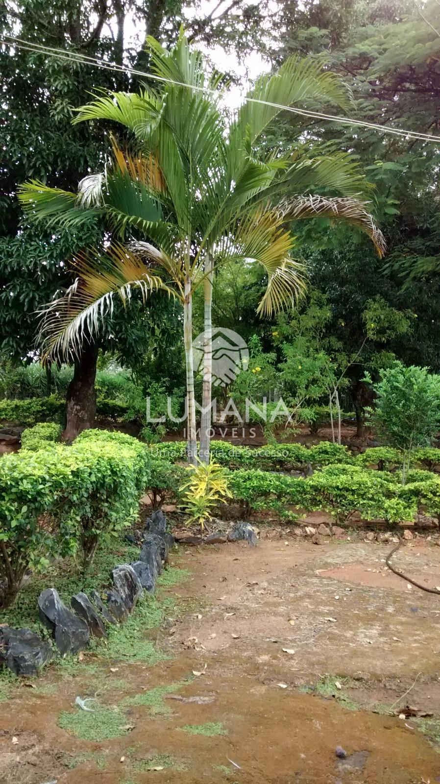 Sítio Região urbana L.Santa — foto 4 — Lagoinha De Fora, Lagoa Santa, MG