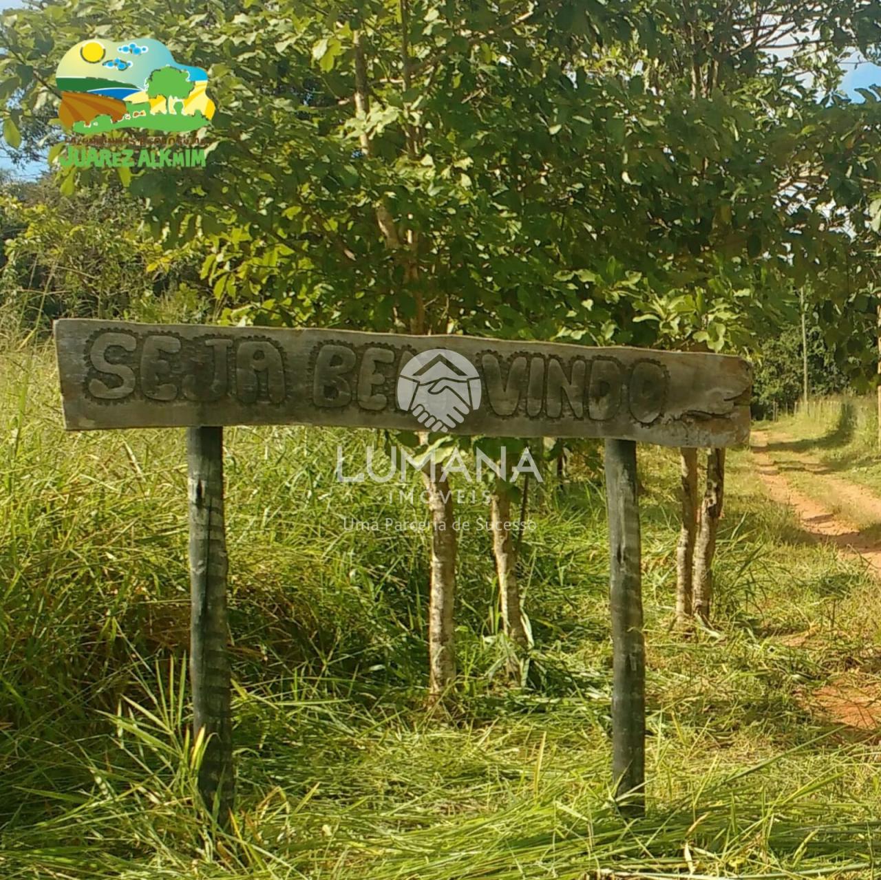 Fazendinha — foto 11 — Capão Grosso, Jaboticatubas, MG