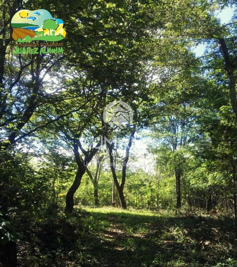 Fazendinha — foto 12 — Capão Grosso, Jaboticatubas, MG