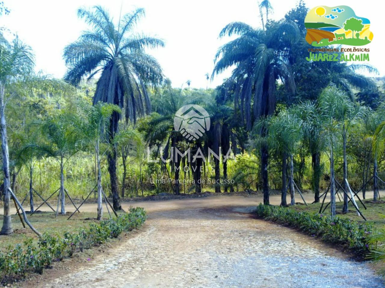 Fazendinha — foto 13 — Capão Grosso, Jaboticatubas, MG