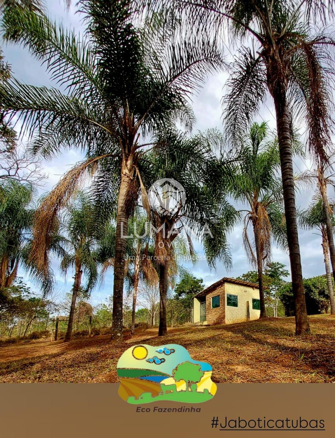 Fazendinha — foto 7 — Capão Grosso, Jaboticatubas, MG
