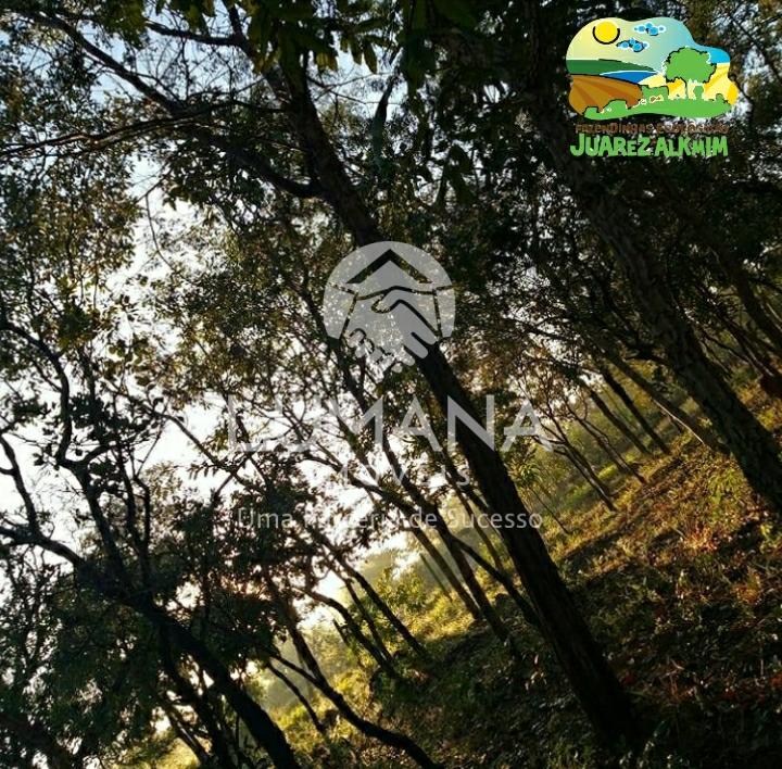 Fazendinha — foto 15 — Capão Grosso, Jaboticatubas, MG