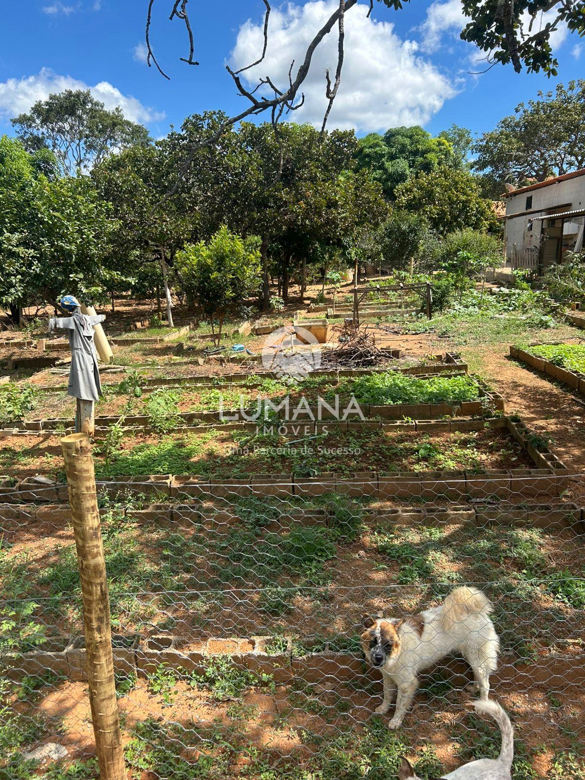 Sítio/Chácara estilo pousada — foto 39 — Sítio Dos Ipês, Jaboticatubas, MG