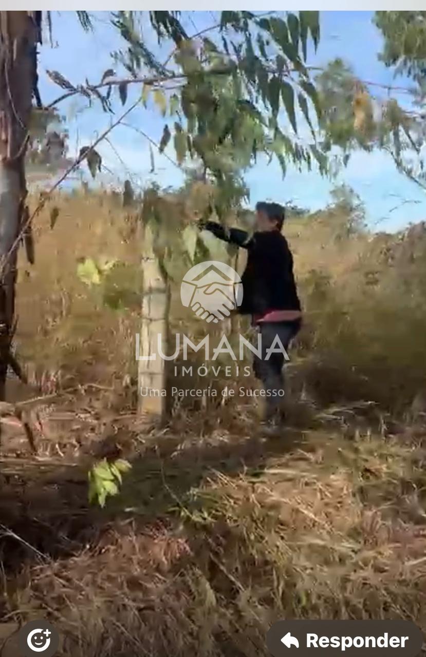 Área 10.000 metros/ 040