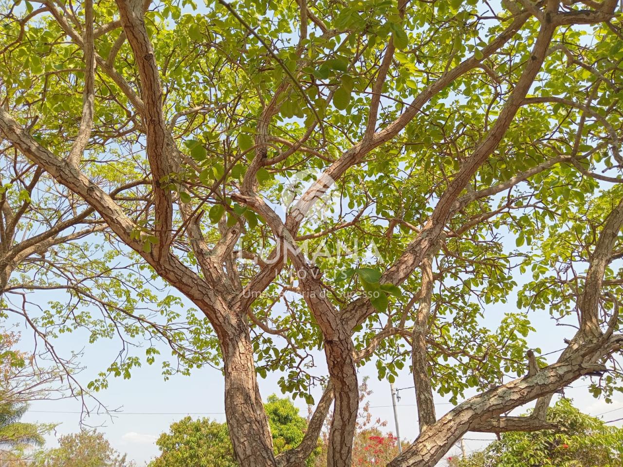 Sítio — foto 11 — Almeida, Jaboticatubas, MG