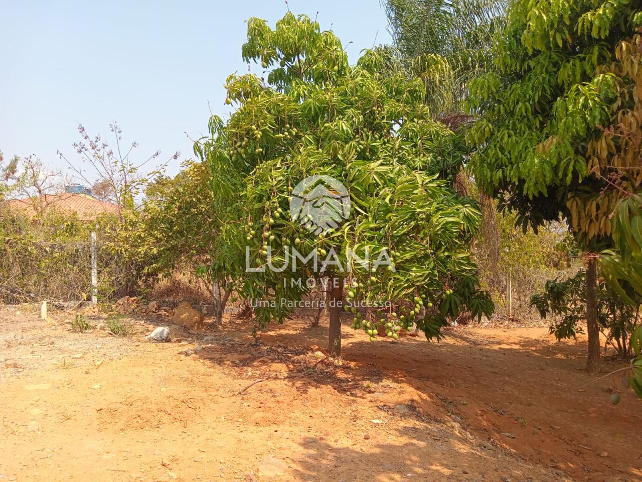 Sítio — foto 7 — Almeida, Jaboticatubas, MG