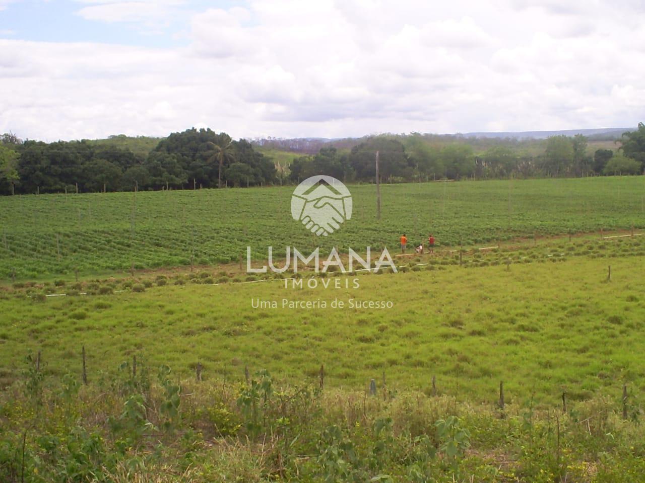 Fazenda produtiva Cachaça — foto 57 — Zona Rural, Araçuaí, MG