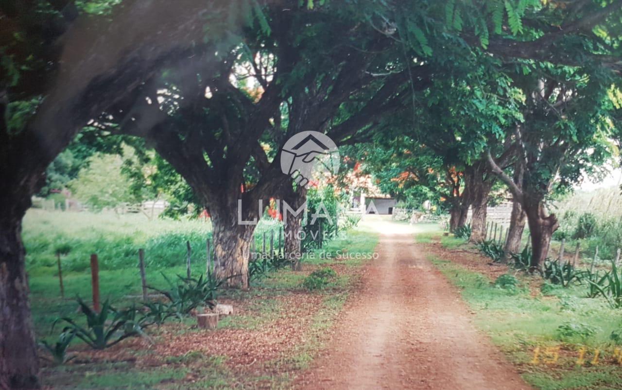 Fazenda produtiva Cachaça — foto 47 — Zona Rural, Araçuaí, MG