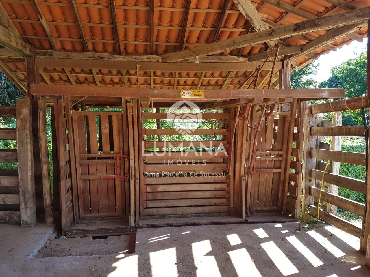 Fazenda produtiva Cachaça — foto 51 — Zona Rural, Araçuaí, MG