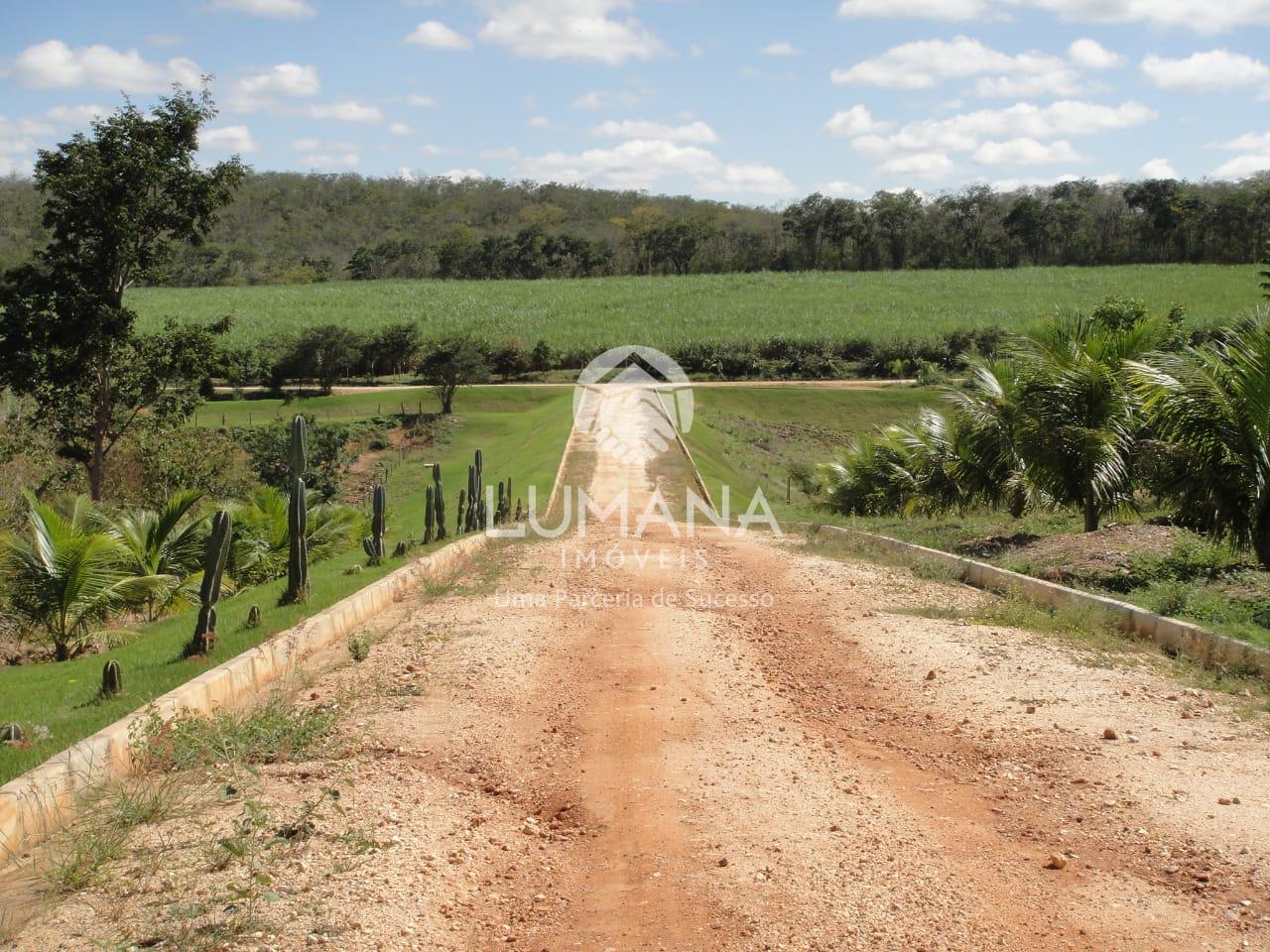 Fazenda produtiva Cachaça — foto 16 — Zona Rural, Araçuaí, MG