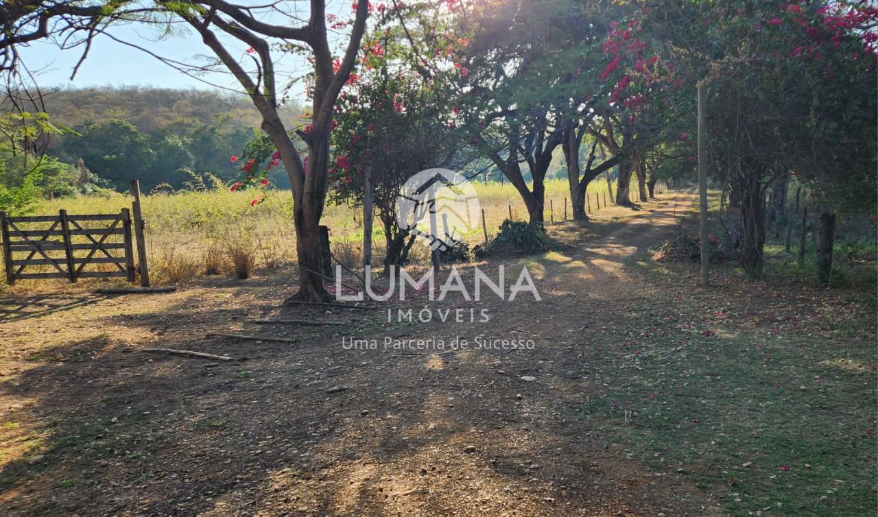 Fazenda produtiva Cachaça — foto 46 — Zona Rural, Araçuaí, MG