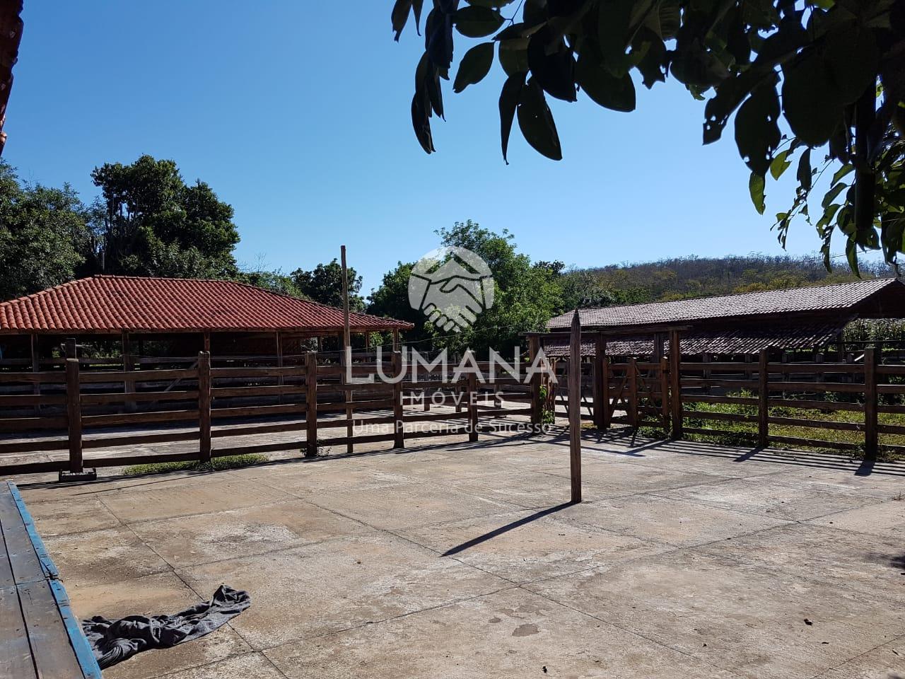 Fazenda produtiva Cachaça — foto 32 — Zona Rural, Araçuaí, MG