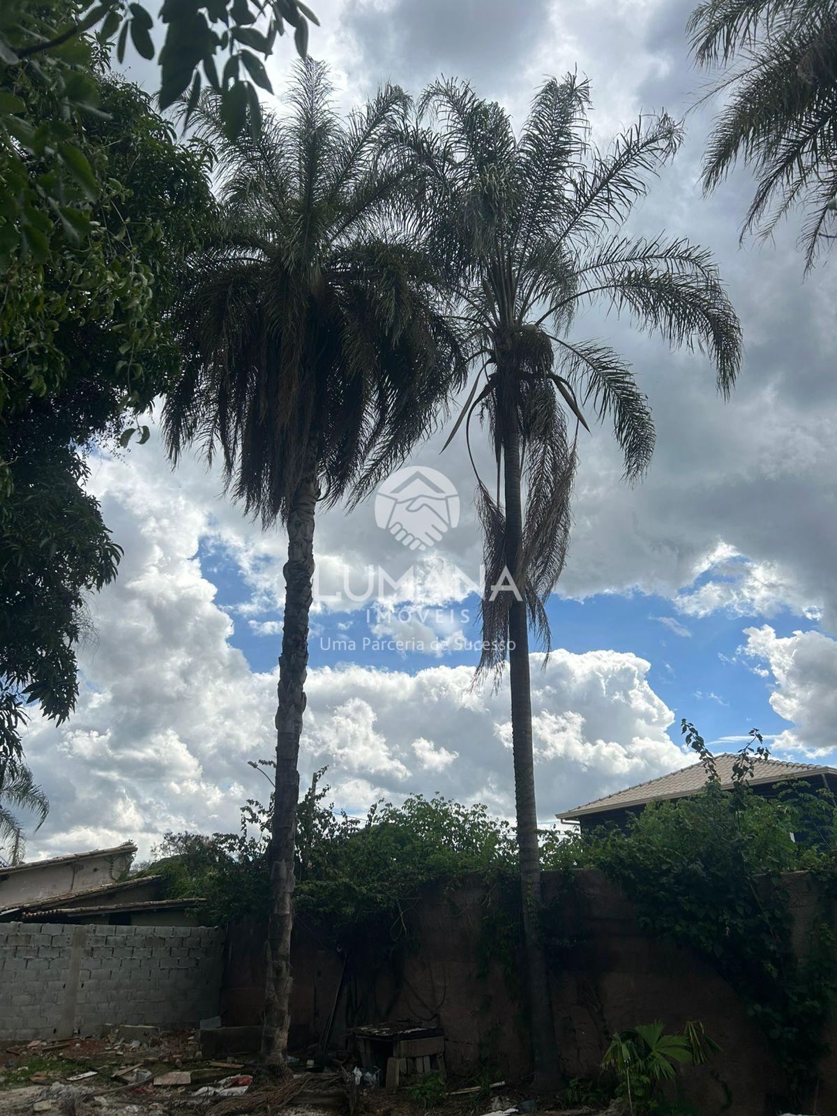 Lote 1.000 m²/ Murado — foto 12 — Novo Santos Dumont, Lagoa Santa, MG