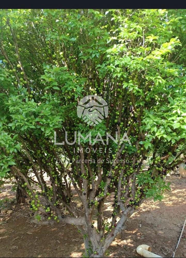 Chácara  2.000 m² condomínio fechado