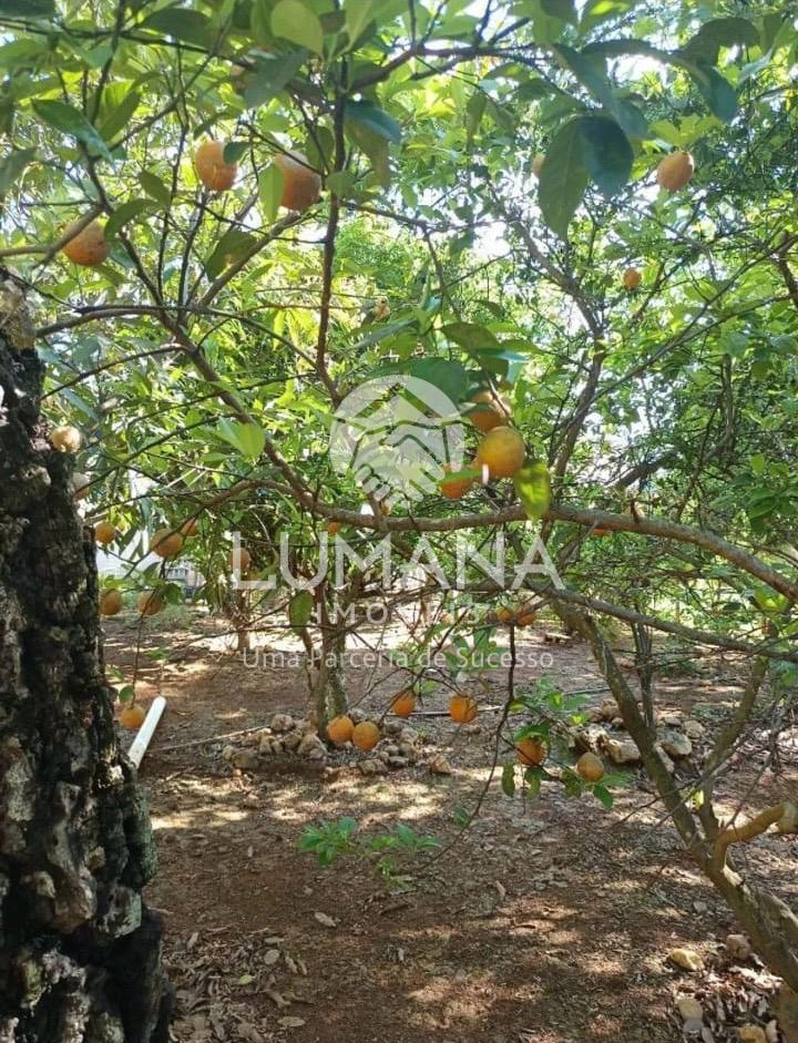 Chácara  2.000 m² condomínio fechado